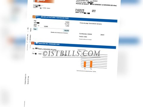 西班牙地址证明 endesa天然气账单西班牙语 Spain endesa Gas bill（欧盟地址证明）