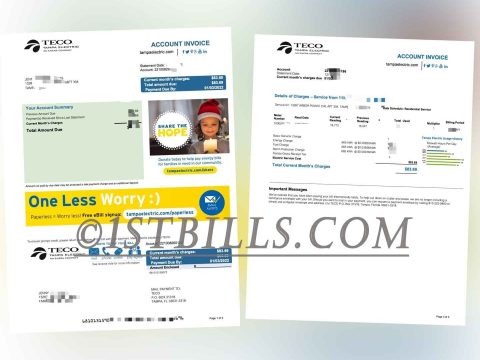 美国地址证明 佛罗里达州 Tampaelectric电费账单 Proof of U.S. Address Florida Tampaelectric Electricity Bill