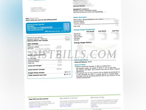 美国特拉华州水电账单 DEC 电费 地址证明 Delaware, USA - Utility Bill (DEC) - Electricity Fee - Proof of Address