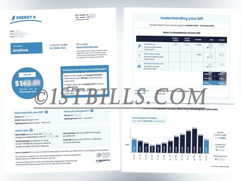 新西兰水电费账单 energya 电费账单地址证明 New Zealand electricity and water bill (Energya electricity bill) - address proof