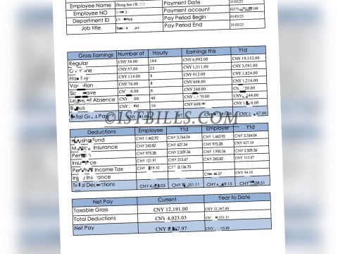 收入来源证明 Wise收入证明 China时薪工资单 Payslip Salary 带公司名字 中/英文拼音名（收入证明）2
