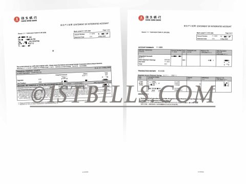 香港恒生银行 账户综合账单 地址证明 Hong Kong Hang Seng Bank statement Proof of address