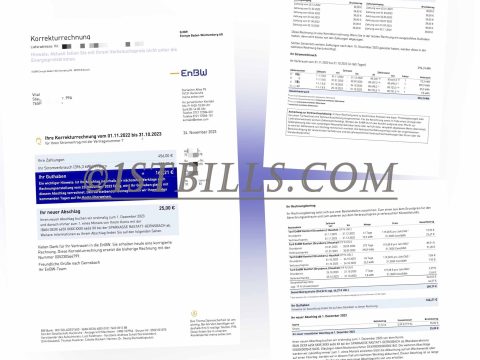 德国地址证明 德国enbw电费账单 Germany ENBW Electricity Utility Bill