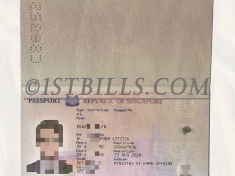 东南亚| 新加坡护照 Singapore Passport PSD/Photoshop/PS模板（扫描件版