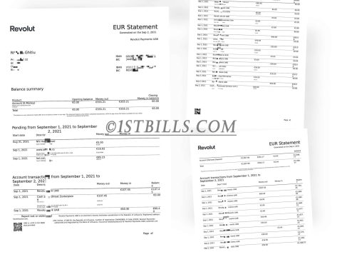 Revolut银行账单 Bank Statement（欧盟地址证明）