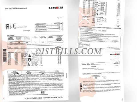 DBS HK 星展银行信用卡账单HongKong（香港地址证明）