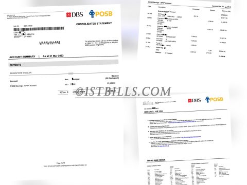 东南亚｜新加坡地址证明 DBS POSB星展银行账单 Singapore address proof DBS bank statement