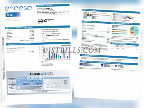 西班牙地址证明 endesa电费账单西班牙语 Spain electricity bill