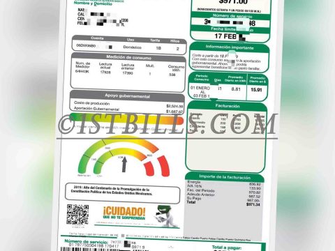 北美|Mexico CFE Power Utility Bills墨西哥水电费账单（墨西哥地址证明）