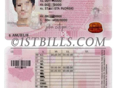 欧盟| 波兰驾照/驾驶证PSD模板(V2) Poland Driving Licence PSD