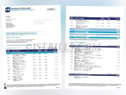 法国 Banque Populaire 大众银行账单 地址证明 French Banque Populaire (Popular Bank) statement, proof of address