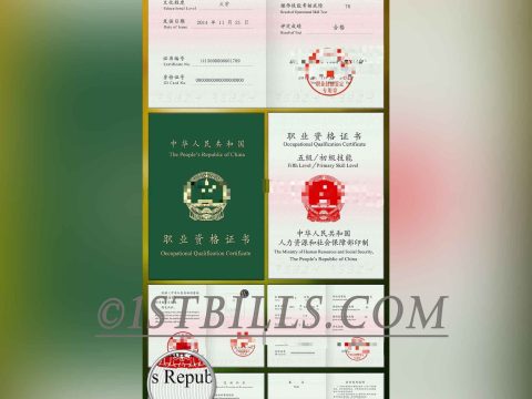 保育员职业资格证书PS/PSD模板 China Caregiver Professional Qualification CertificatePS/PSD
