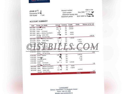 冰岛 Landsbanki 银行账单 地址证明 Iceland Landsbanki bank statement