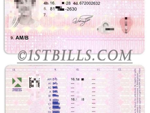 北欧|瑞典驾照 Sweden DL/驾驶证PS/PSD模板（V2）