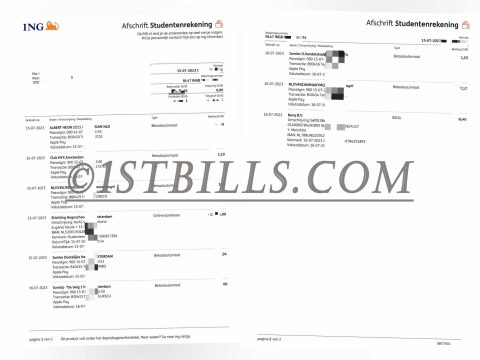 荷兰 ING银行账单 欧盟地址证明 Netherland ING Bank Statement PDF