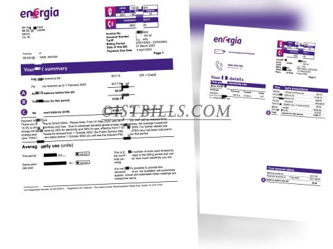 爱尔兰电费账单 地址证明  energia Electricity bill