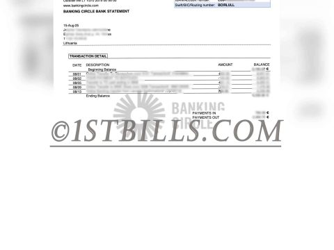 卢森堡Banking Circle S.A.银行账单 地址证明 Luxembourg Banking Circle S.A. Bank Statements and Proof of Address