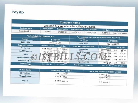 收入来源证明 Wise收入证明 China基本工资单 带公司名字 中/英文拼音名 Payslip Salary（收入证明）2