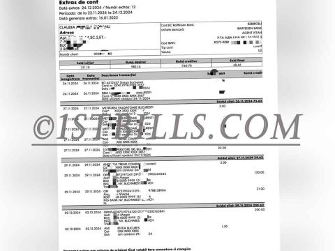 罗马尼亚 Raiffeisen银行 地址证明 Romania Raiffeisen Bank Proof of Address