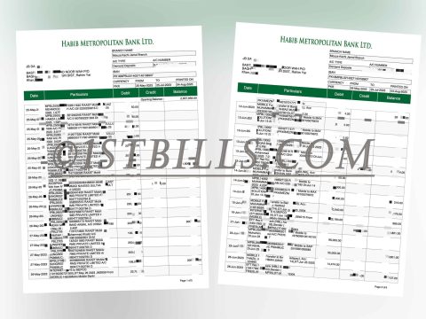 巴基斯坦 HABIB METROPOLITAN 银行账单 地址证明 PAKISTAN HABIB METROPOLITAN Bank Statement Proof of Address