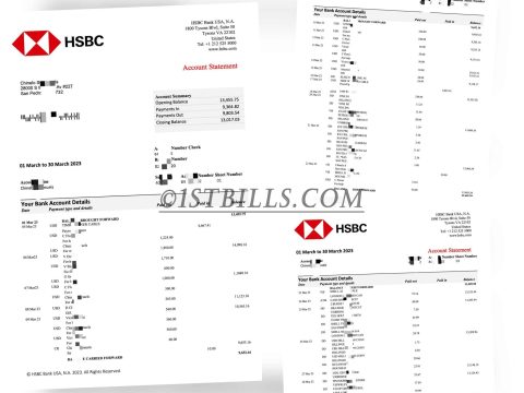 美国汇丰 HSBC US银行账单 HSBC US bank statement