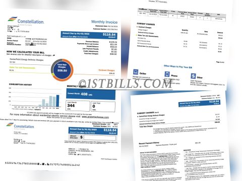 美国地址证明 电费账单 US constellation  Electricity bill