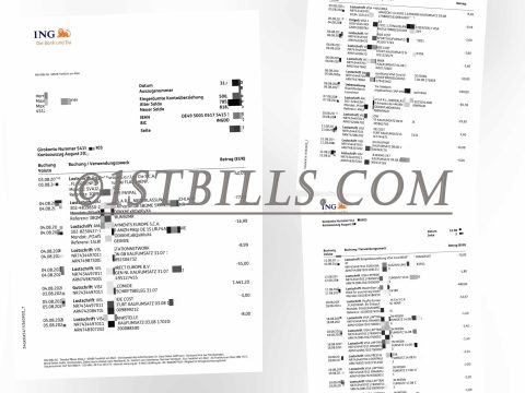 德国ING银行账单 欧盟地址证明 Germany ING Bank Statement PDF