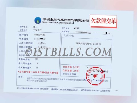 深圳燃气费账单 亚马逊 派安盈 地址证明 Amazon Payoneer China Electricity Address Proof（中国大陆地址证明）