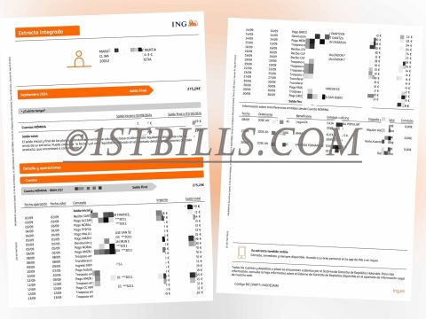 西班牙ING银行账单工资账户 Spanish ING Bank Statement Salary Account