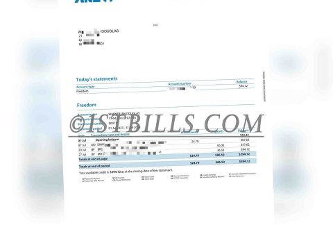 新西兰 ANZ银行账单 ANZ Bank 新西兰地址证明