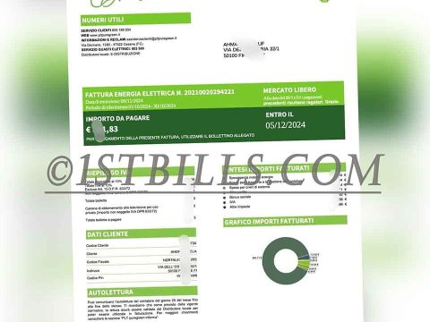 意大利PTL Puregreen电费账单 水电费账单 意大利地址证明 Italian PTL Puregreen electricity bill, utility bill, Italian address proof