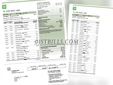 加拿大 道明银行账单 TD Bank Statement（加拿大地址证明）