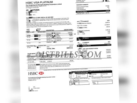 东南亚｜新加坡汇丰银行 信用卡账单地址证明 HSBC SG Bank Credit Card Statement