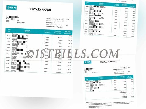 东南亚 马来西亚银行账单 Malaysia BSN Bank Statement 马来西亚地址证明pdf