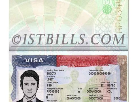 美国VISA签证 护照页 PSD模板 USA Tourist Visa Passport PSD Template