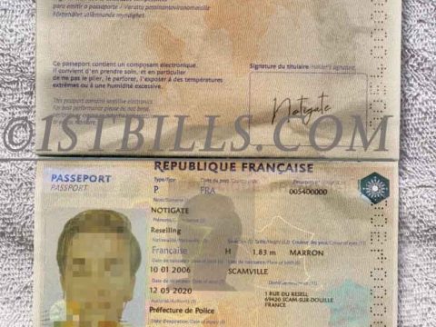 欧洲| 法国护照 France Passport PSD/photoshop/PS模板