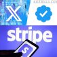 2026 年最新最全 X 认证 + Stripe 绑定教程，领取马斯克的工资！