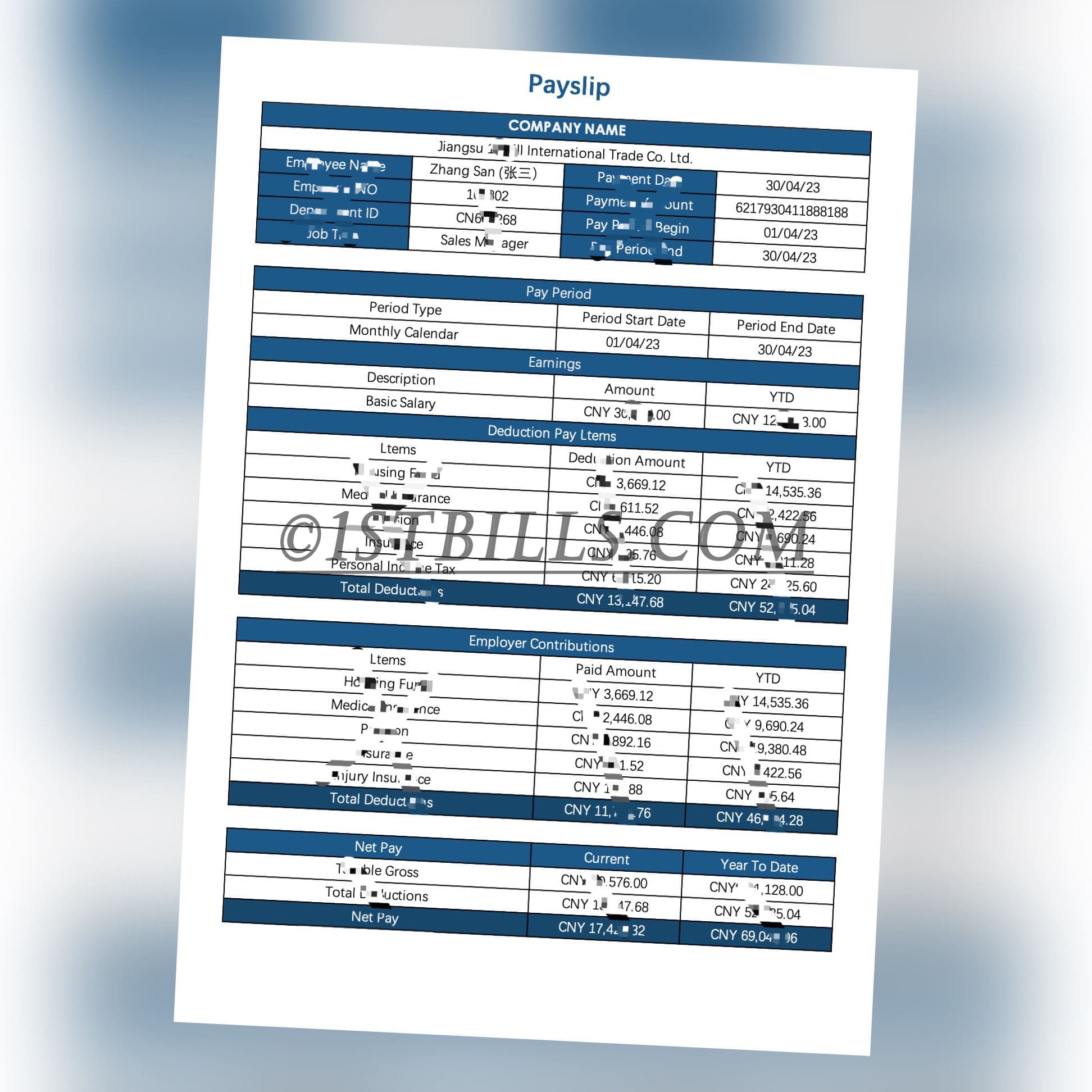 收入来源证明 Wise收入证明 China基本工资单 带公司名字 中/英文拼音名 Payslip Salary（收入证明）1